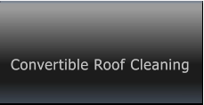 Convertible Roof Cleaning Convertible Roof Cleaning