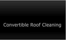 Convertible Roof Cleaning Convertible Roof Cleaning